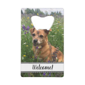 Ouvre-bouteille personnel pour chien (Devant)