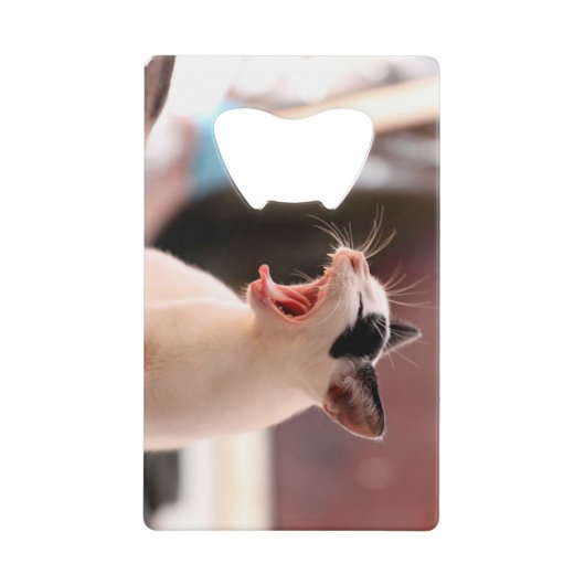 Ouvreur de bouteille de chat (Devant)