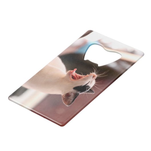 Ouvreur de bouteille de chat (Dos Angle)