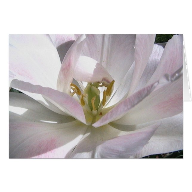 ouvrez votre esprit (Devant horizontal)