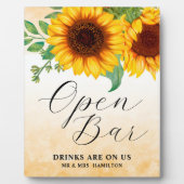 Ouvrir le panneau Tournesol de la barre Plaque de  (Devant)