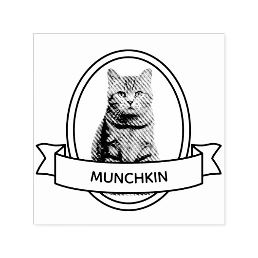 Ovaal Custom Pet Kat Foto en Naam Lint Zelfinktende Stempel (Design)