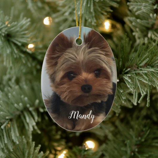 Oval Yorkie Ornament (Boom)