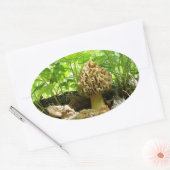Ovale Champignon Morel - Sticker "En Cachant" (Enveloppe)