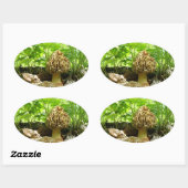 Ovale Champignon Morel - Sticker "En Cachant" (Feuille)