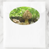 Ovale Champignon Morel - Sticker "En Cachant" (Sac)