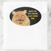 Ovale Dites Bonjour À Votre Chat Oval Sticker (Sac)