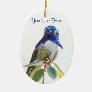 Ovale En Céramique Ornement : Colibri (ovale) de Costa