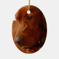 Ornement de chien de poseur irlandais