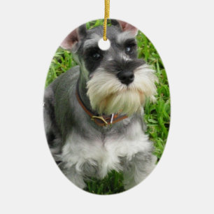 Ovale En Céramique Ornement de chien de Schnauzer