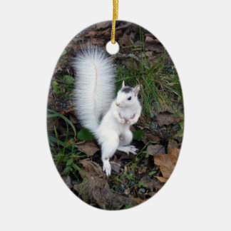 Ovale sierbloem - Brevard White Squirrel Keramisch Ornament