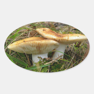 Ovale Sticker à double champignon