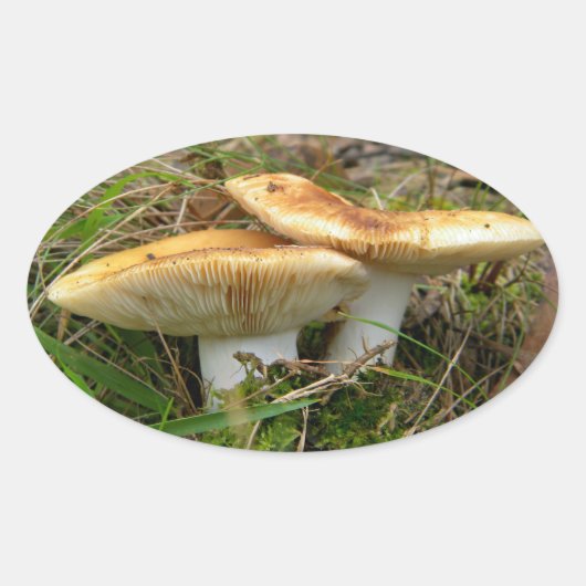 Ovale Sticker à double champignon (Devant)