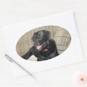 Ovale Sticker Black Lab (Enveloppe)