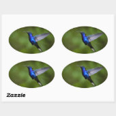 OVALE STICKER HUMMINGBIRD (Feuille)