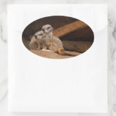 Ovale Sticker Meerkat Oval (Sac)