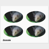 OVALE STICKER OVAL PEEWEE (Feuille)