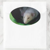 OVALE STICKER OVAL PEEWEE (Sac)
