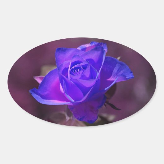 Ovale Sticker Rose violet profond (Devant)