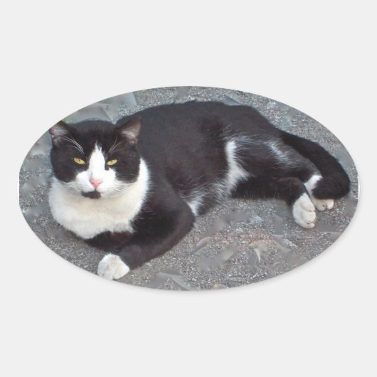 Ovale Sticker Tuxedo Cat (Devant)