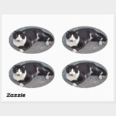 Ovale Sticker Tuxedo Cat (Feuille)