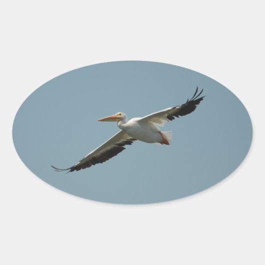 Ovale Voler Pelican 4 Sticker (Devant)