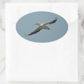Ovale Voler Pelican 4 Sticker (Sac)
