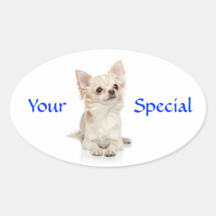Ovale Votre Sticker de Chihuahua aux Cheveux Spéciaux