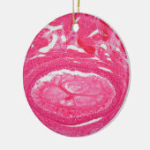 Ovariumcellen onder de microscoop. keramisch ornament (Links)