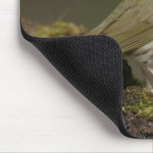 Ovenbird Mousepad Muismat (Hoek)