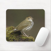 Ovenbird Mousepad Muismat (Met muis)