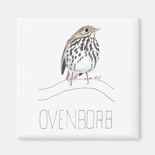 Ovenborb (Ovenbird) Magneet (Voorkant)
