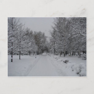 Over de hele wereld in 60 briefkaarten. briefkaart