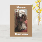 *OVER DE MELEN* WIST DAT HET IN PERSOON WAS, VANDA KAART (Gele Bloem)