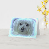 Over de regenboog kaart (Gele Bloem)