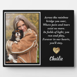 Over de regenboogbrug King Charles Spaniel Fotoplaat