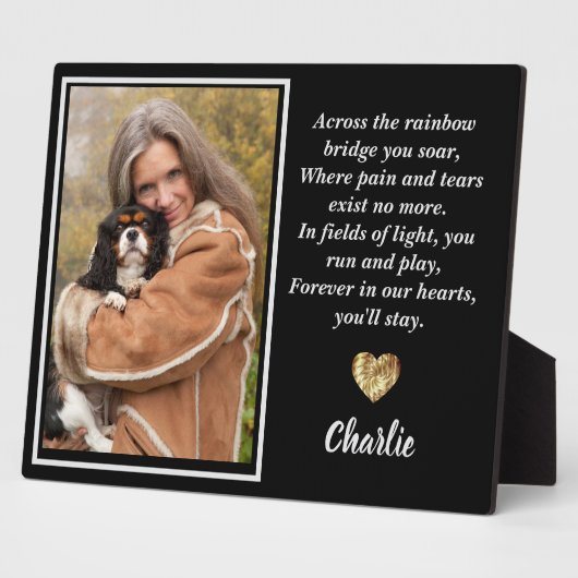 Over de regenboogbrug King Charles Spaniel Fotoplaat (Zijkant)