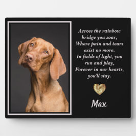 Over de Regenboogbrug Vizsla Dog Fotoplaat