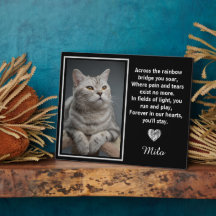 Over De Regenboogbrug Zilveren Hondengeheugen