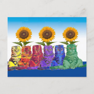 Over de regenboogkatten briefkaart