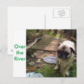 Over de rivier briefkaart (Voorkant / Achterkant)