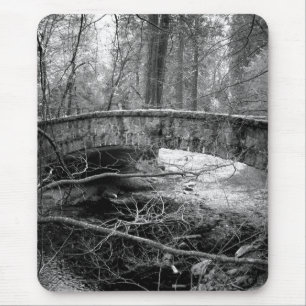 Over de rivier muismat