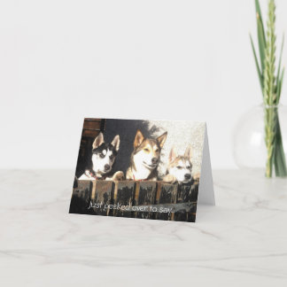 Over enkel gegluurd om te zeggen. kaart