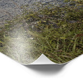 Over het bekken bekeken, Space Shuttle Atlantis Foto Afdruk (Hoek)