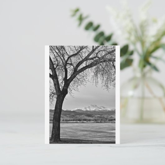 Over het meer in zwart-wit briefkaart (Staand voorkant)