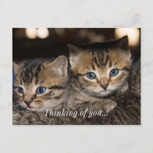 Over Momma's achterste denken aan jou Briefkaart