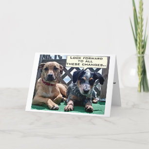 OVER THE HILL / WAT JE KUNT VERWACHTEN VERJAARDAG  KAART