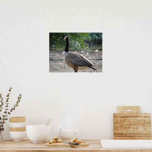 Overal in Canada Goose Print (Keuken)