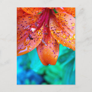 overblijfselen van summerrain briefkaart