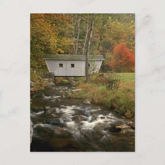 Overdekte Bridge Foliage Kent Herfst State Park Briefkaart (Voorkant)